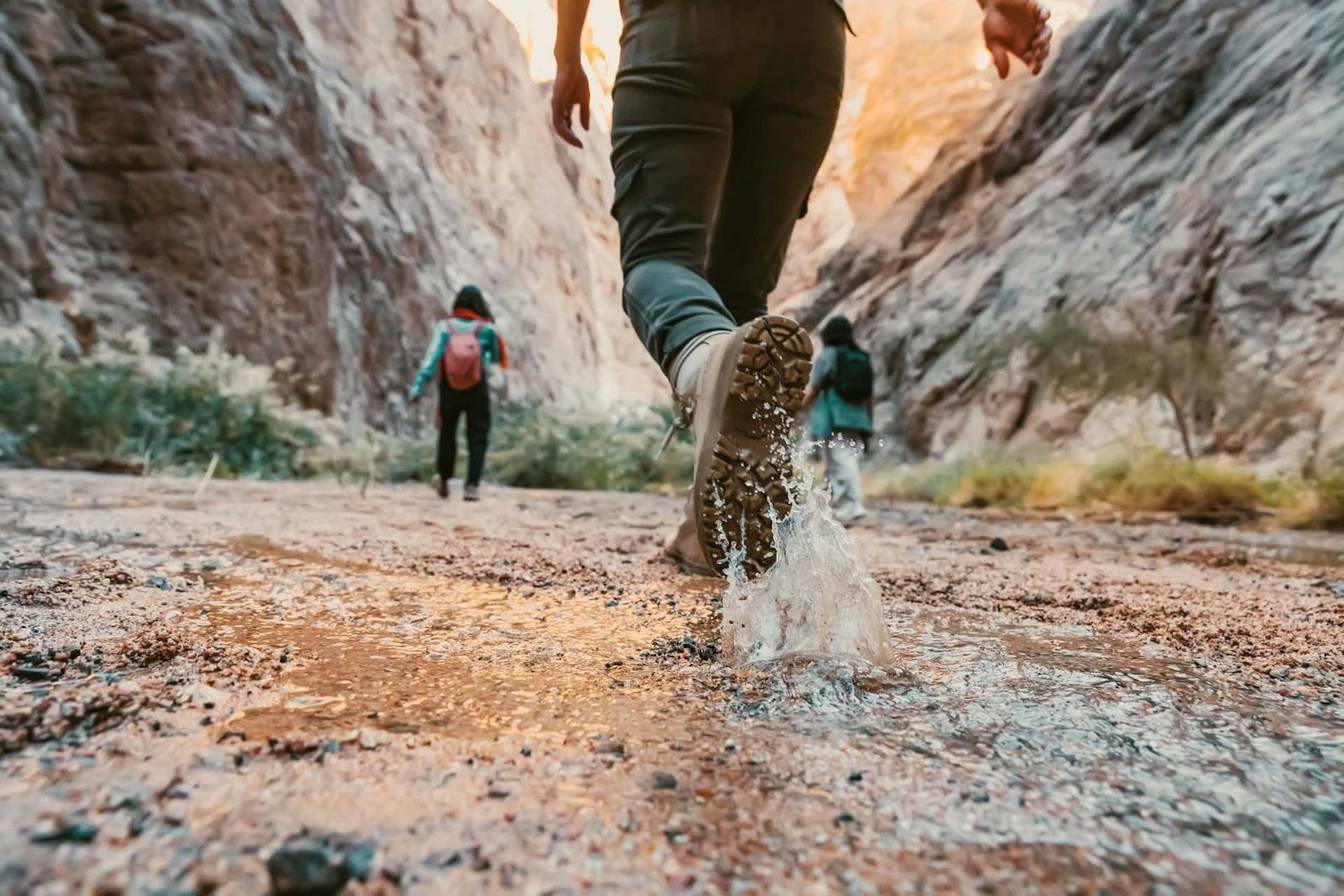 Exploring the Wild: The Adventure of Hiking Off the Beaten Path neom wuymk7zilt0 unsplash (1)
